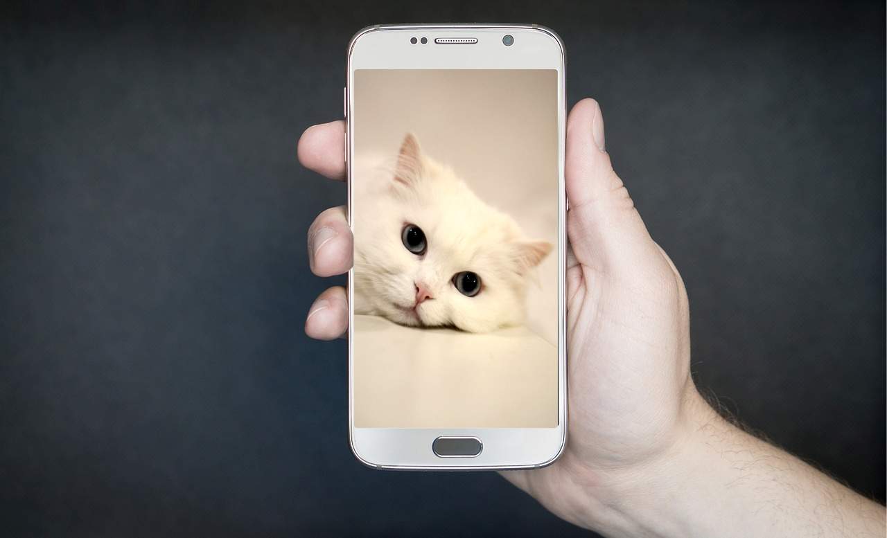 Cuidado Uma simples imagem pode invadir seu Smartphone Android