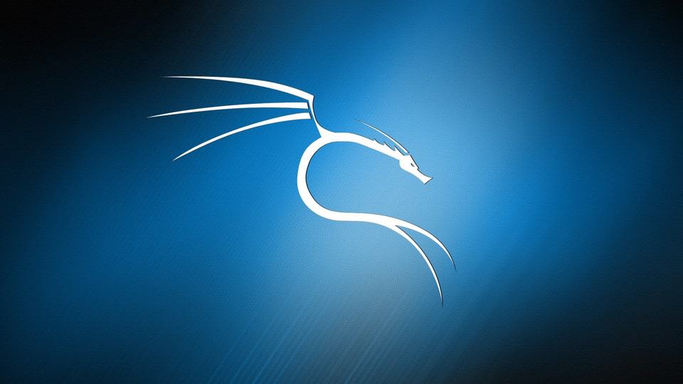 Kali Linux 2019 - Sistema Operacional para Hackers
