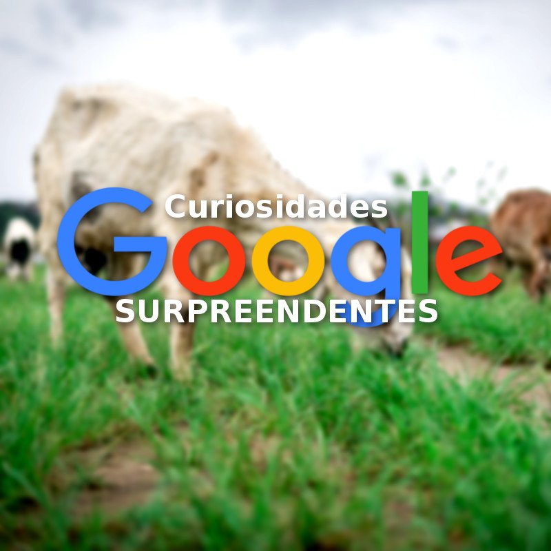 Curiosidades sobre o Google que são surpreendentes