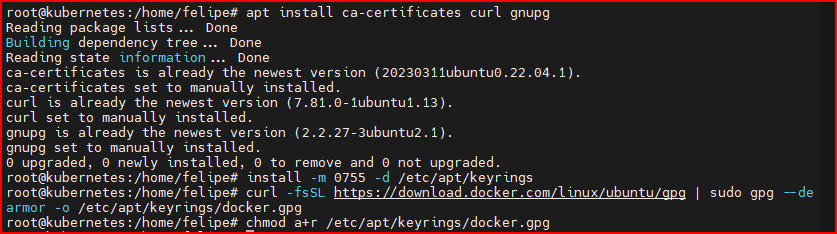 Como instalar o Docker no Linux Ubuntu Server 22.04