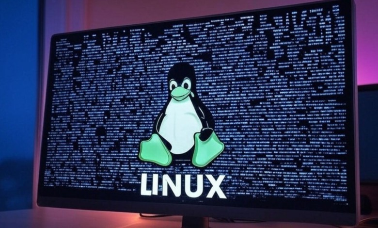 Como usar o terminal do Linux sem complicações.