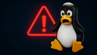 Vulnerabilidade sudo Linux.