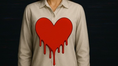 Heartbleed falha OpenSSL.